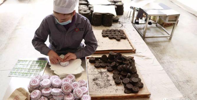 茶業大鱷重回勐海,國飲中茶王者歸來!