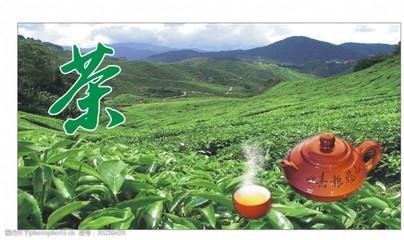 布茶圖片素材