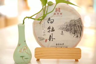 和峰園茶業(yè) 讓更多人喝福建好茶