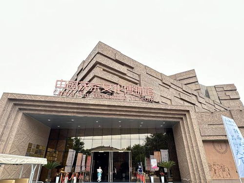 茯茶鎮(zhèn) 以茶為媒，帶活百億產(chǎn)業(yè)，鑄就中國(guó)茯茶之都